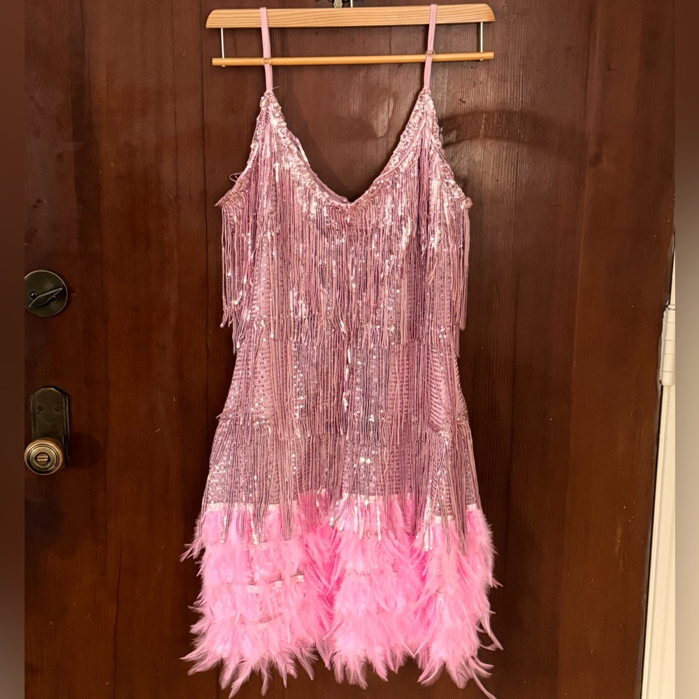 Pink Roaring 20s Flapper Girl Dress Barbie Costume Vibes